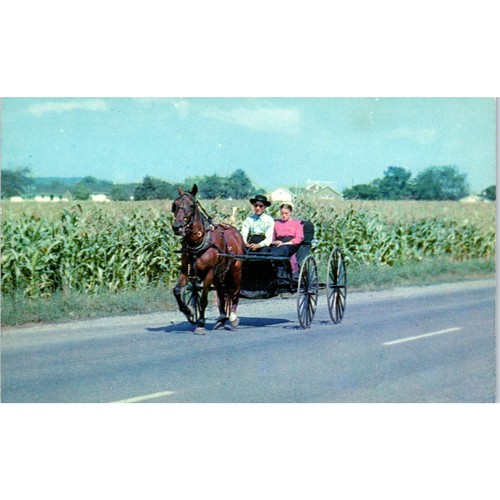 Young couple amish courting - amish,