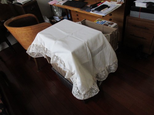 Cuscino pizzo veneziano - in,