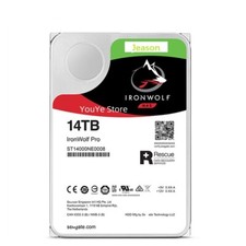 Seagate IronWolf Pro