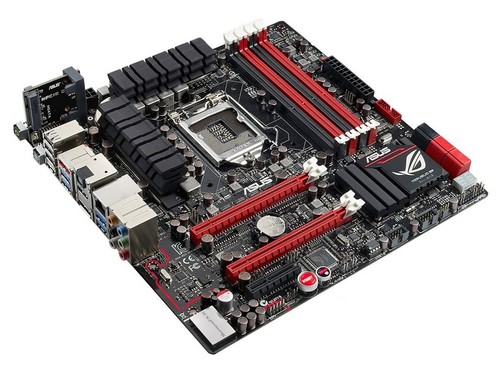 Per asus maximus gene scheda - v,