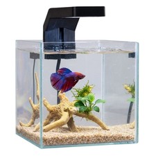 Askoll Betta World Acquario 8L