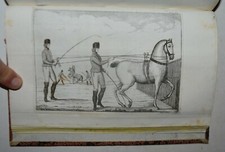 SCUOLA EQUESTRE - fig. 1841 - Mazzuchelli - 20 TAVOLE - CAVALLI