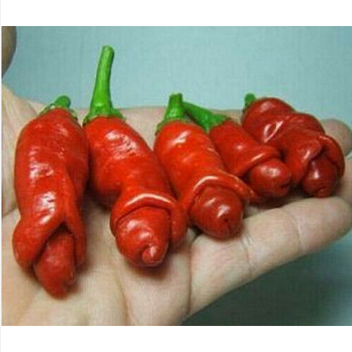 Peperoncino peter pepper - peperoncino,