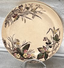 1 Piatto Piatta Antica D 24,5