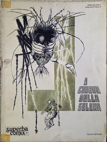 Cinque della selena mino - della,