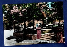 CHITIGNANO: GIARDINI PUBBLICI E BAR AURORA - cartolina viaggiata