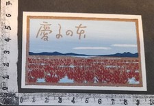 WUNDERKAMMER K EXLIBRIS 529 - " GIAPPONE " - *  YASUSHI OMOTO * - X COLOR