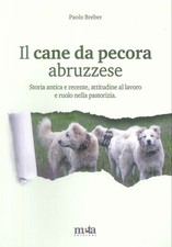 Cane pecora abruzzese - cane, da