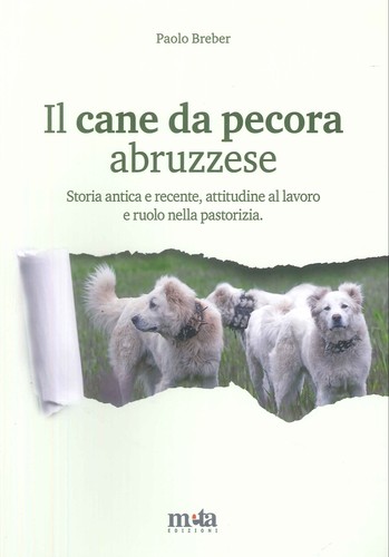 Cane pecora abruzzese - il,