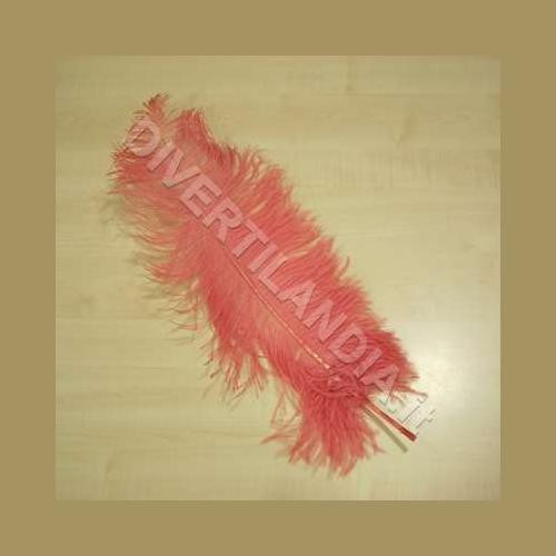 Piuma struzzo colore - di,