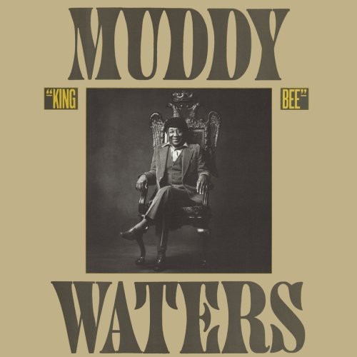 Muddy waters king bee - waters, [used