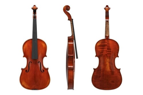Violino europa - -,