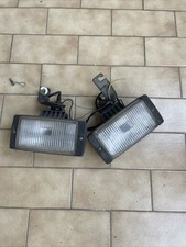 Coppia Fendinebbia BOSCH