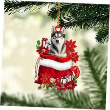  Husky Sibir in Red Santa Gift