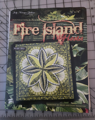 Judy niemeyer quilting - judy, fire