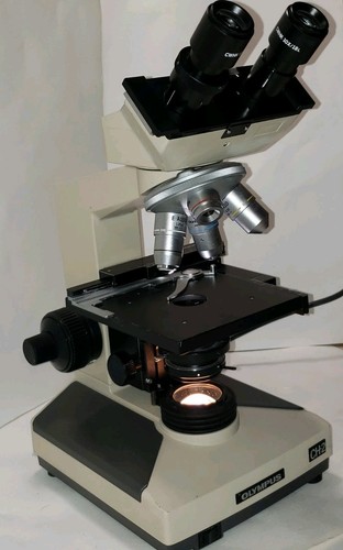 Olympus ch2 microscopio - olympus,