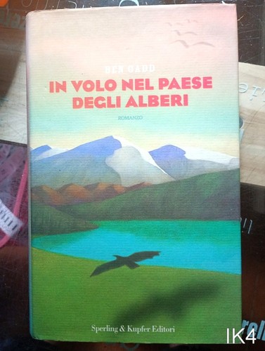 Volo nel paese degli - volo,