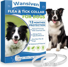 Collare Antipulci per Cani