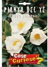 Semi sementi pianta del - del, te'