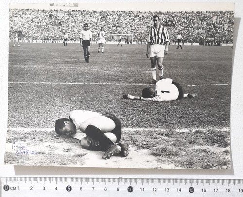 85856 foto calcio 1243 - 85856,