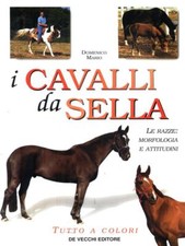 I CAVALLI DA SELLA MARIO