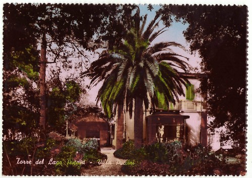 Torre del lago - del,