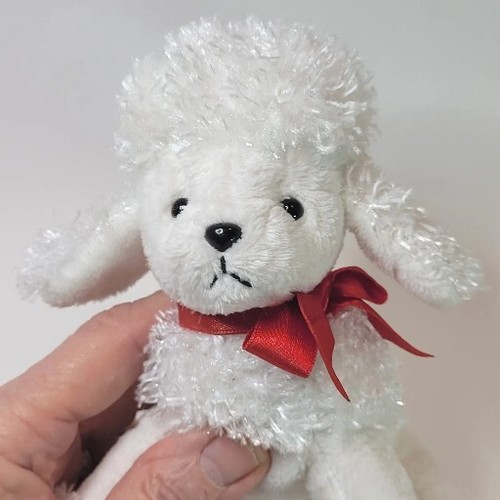 Peluche cane barboncino bianco