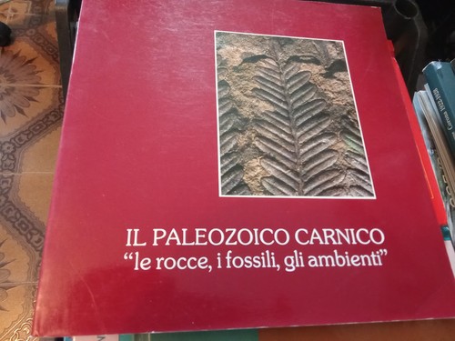 Paleozoico carnico udine - paleozoico,