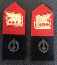 COPPIA MOSTRINE POLIZIA