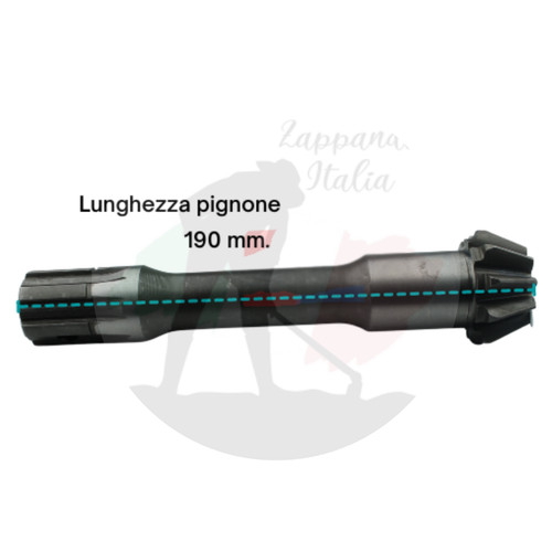 Goldoni pignone inferiore - pignone,
