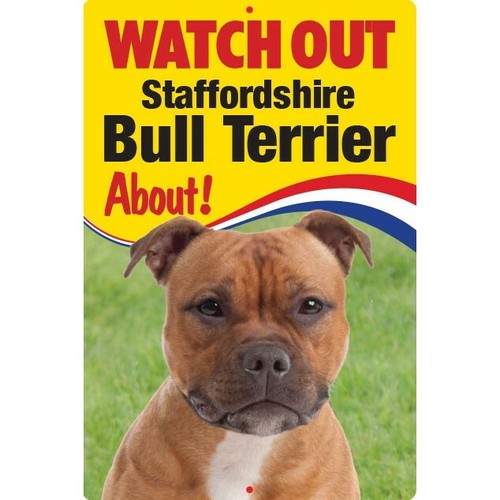 Staffies watch out - staffies,