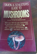 Simon & Schuster’s Guide To