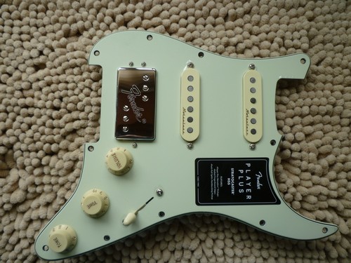 Fender player plus silenzioso - fender,
