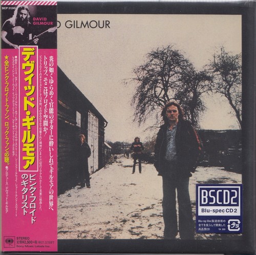 David gilmour pink floyd - pink,
