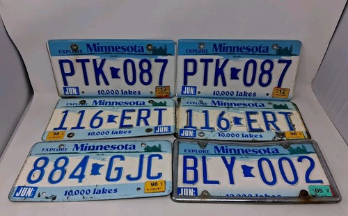 Targa minnesota coppie - minnesota,