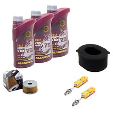 Kit manutenzione olio 3L per