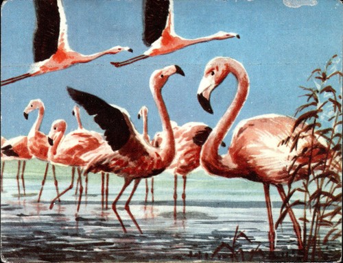 Figurina genti paesi - figurina,