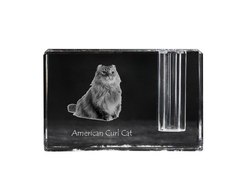 Gatto riccio americano