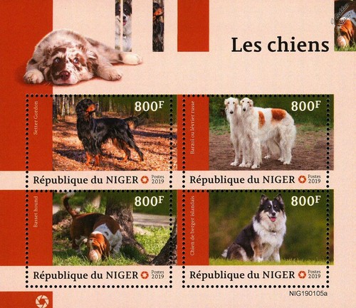 Cani gordon - cani, (gordon