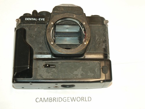 Yashica occhio dentale - yashica,