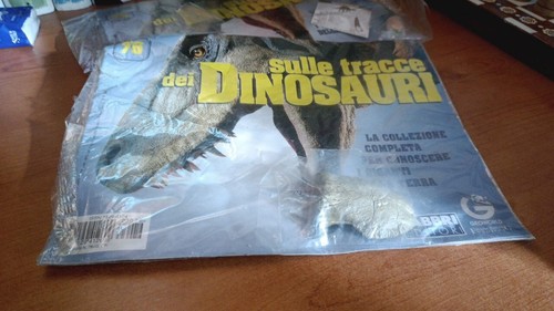 Sulle tracce dei - , n76
