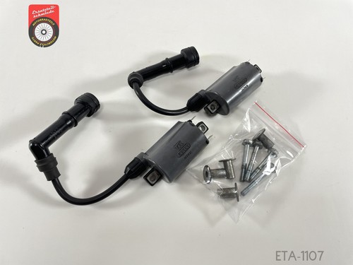 Bobine accensione kawasaki - bobine,