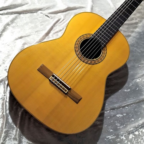 Chitarra classica raimundo - chitarra,