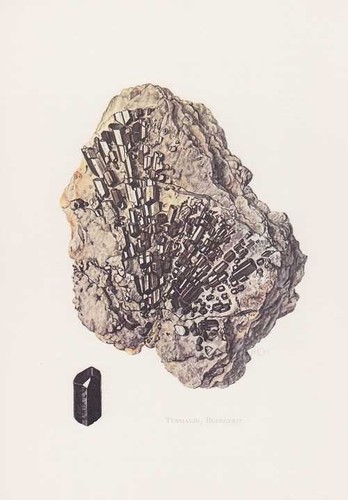 Tormalina buergerit - tormalina,