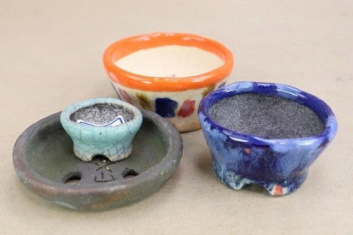 Vaso per bonsai giapponese
