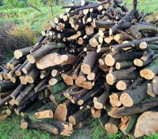 LEGNA DA ARDERE DI ULIVO NON TRATTATA 30KG IN TRONCHETTI PER CAMINO, STUFA, BBC.