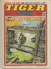 Tiger : 7th November 1981 