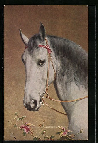 Cartolina artista carl - cartolina, d'artista