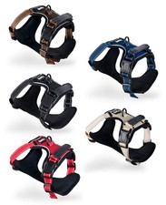 lionto Pettorina per cani