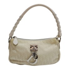 Borsa pochette DIOR Trotter in
